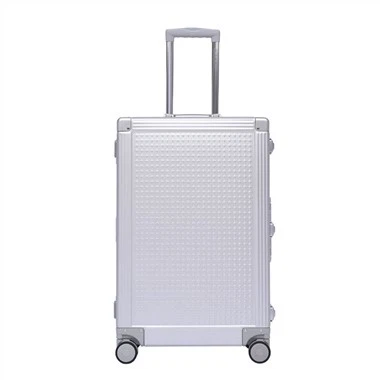20" Fashion Aluminum Hard Case Trolley Luggage with Dual Spinner Wheels Travel